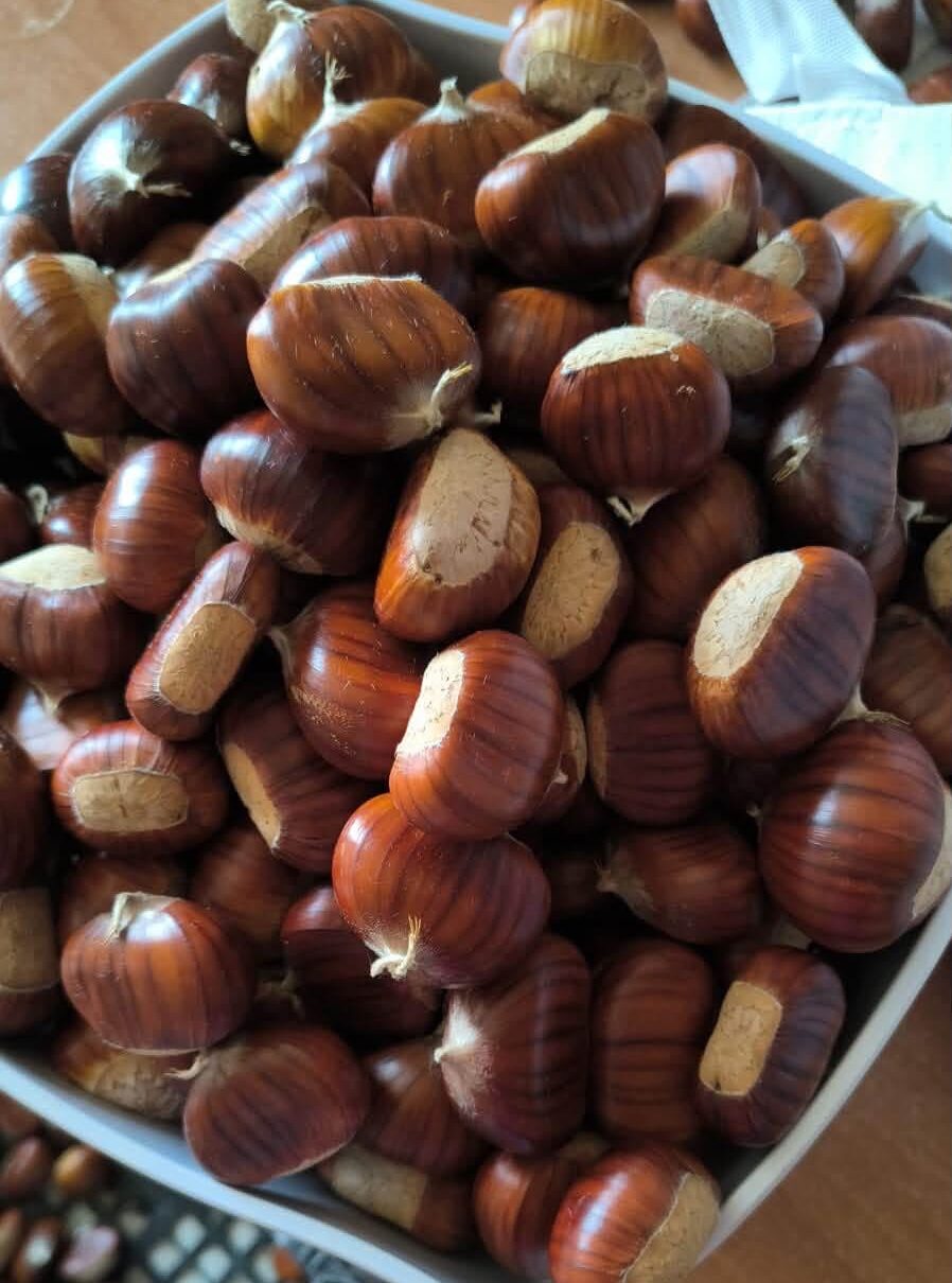 castagne